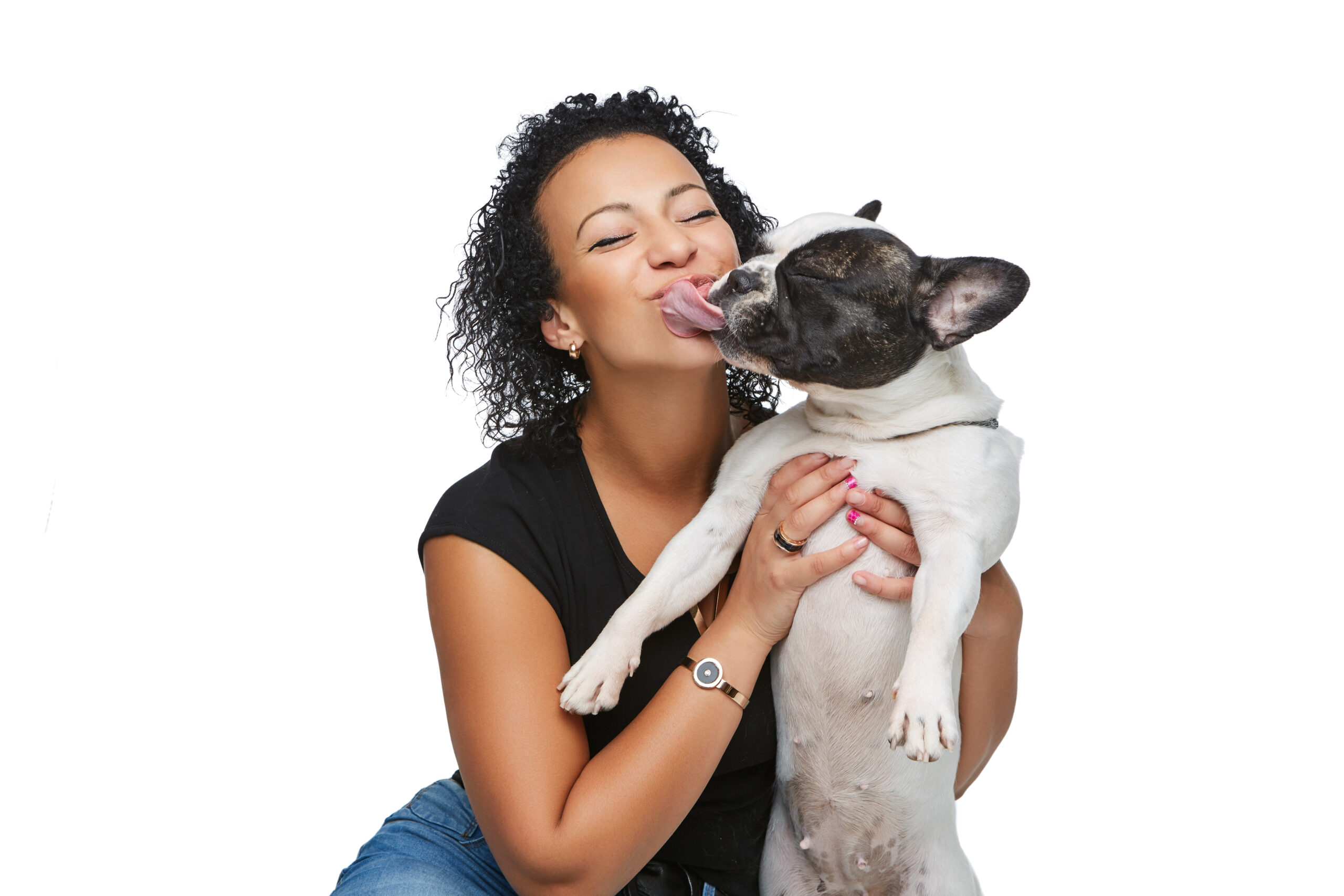 beautiful young woman holding french bulldog dog. studio shot isolated on white background. copy space.
